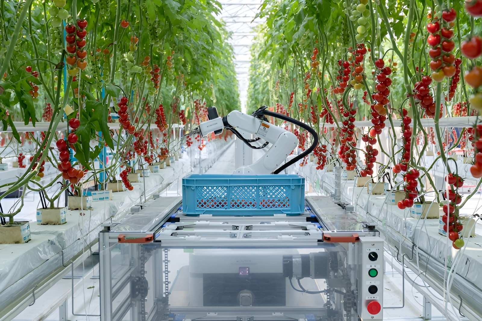 Ứng dụng robot trong nông nghiệp