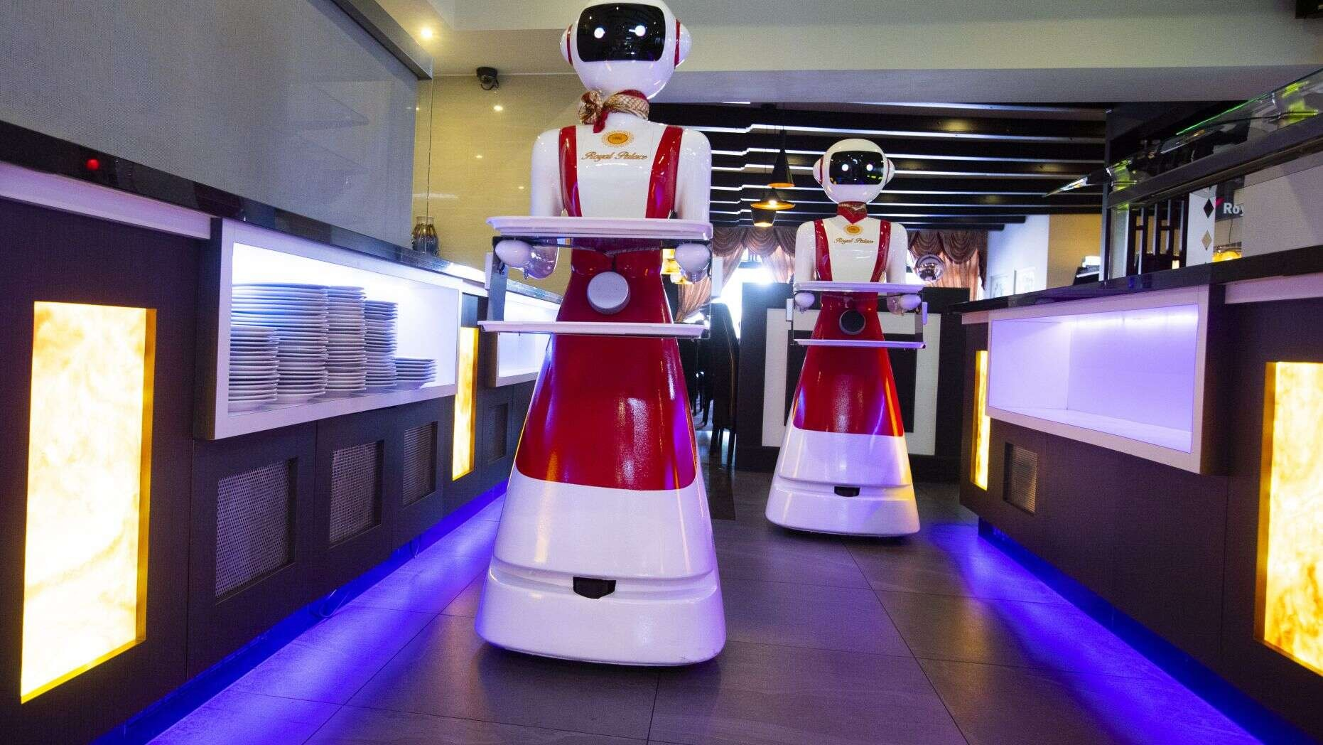 Robot giao đồ ăn/bồi bàn là loại được ứng dụng phổ biến nhất trong các nhà hàng, quán ăn hiện nay
