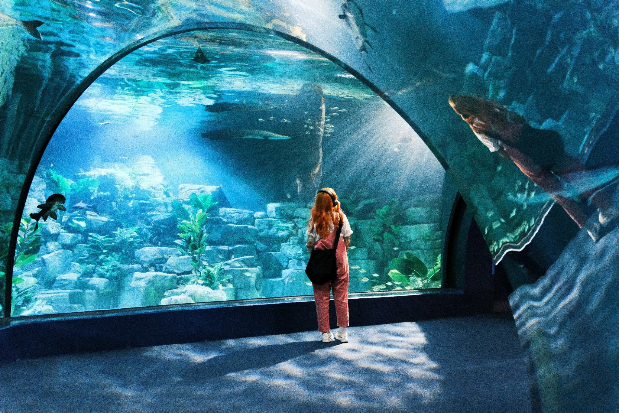 Lotte World Aquarium là một trong những thủy cung hiện đại và quy mô lớn nhất Hà Nội