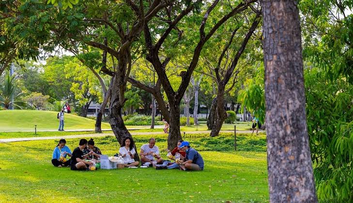 Công viên Thống Nhất là một trong những không gian xanh rộng lớn nằm ngay khu vực trung tâm Hà Nội
