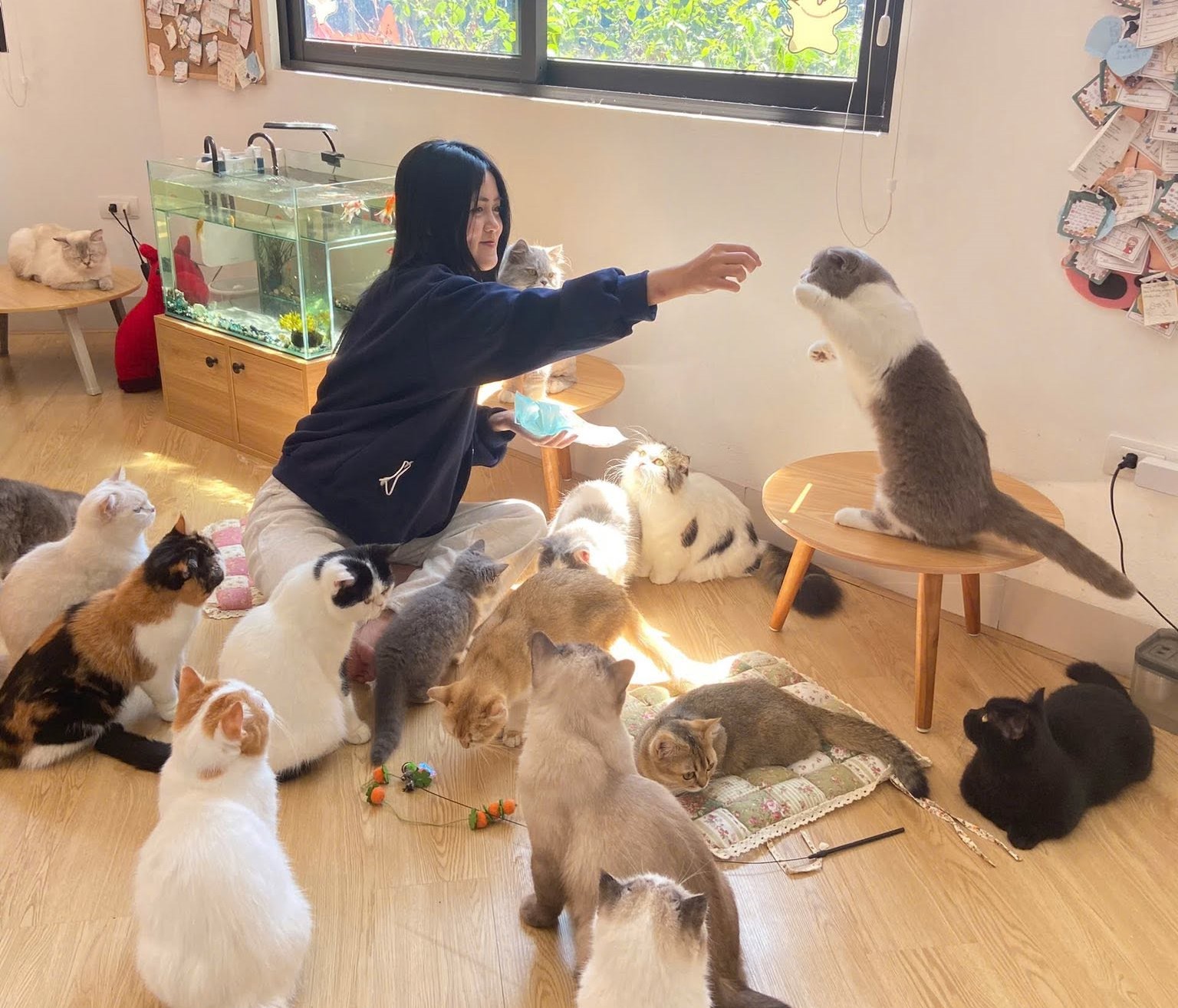 Katty Coffee nổi bật nhờ không gian sáng, nhiều cửa kính và phong cách trang trí hiện đại, tạo nên rất nhiều góc check-in đẹp mắt.