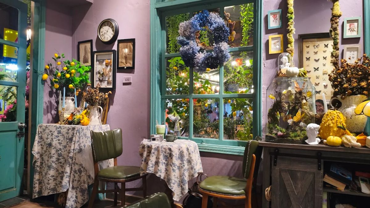 Sở hữu không gian studio phủ đầy cây xanh, Grootto Coffee mang đến trải nghiệm kết hợp giữa nghệ thuật, cà phê và các workshop sáng tạo