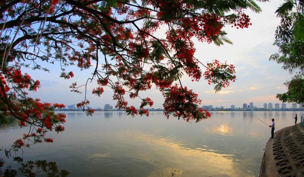 Không gian rộng lớn, nhiều cây xanh cùng những con đường ven hồ lộng gió