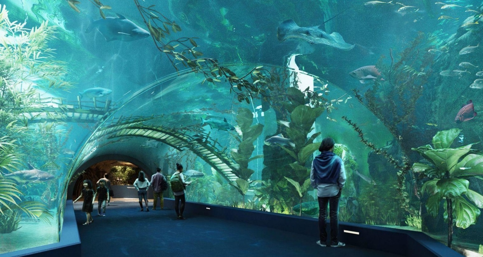 Thủy Cung Lotte World Aquarium Hanoi là một trong những tọa độ tham quan lý tưởng