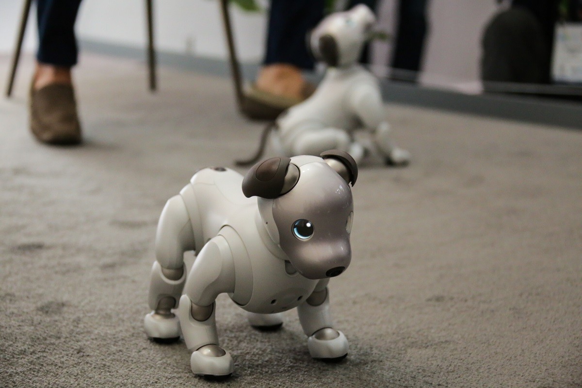 Chó robot Aibo được đánh giá cao nhờ sự kết hợp giữa thiết kế hiện đại và công nghệ trí tuệ nhân tạo tiên tiến. 