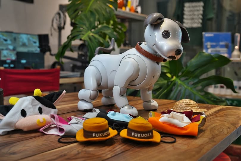 Aibo được tích hợp hàng loạt cảm biến hiện đại như camera nhận diện khuôn mặt, camera định vị không gian