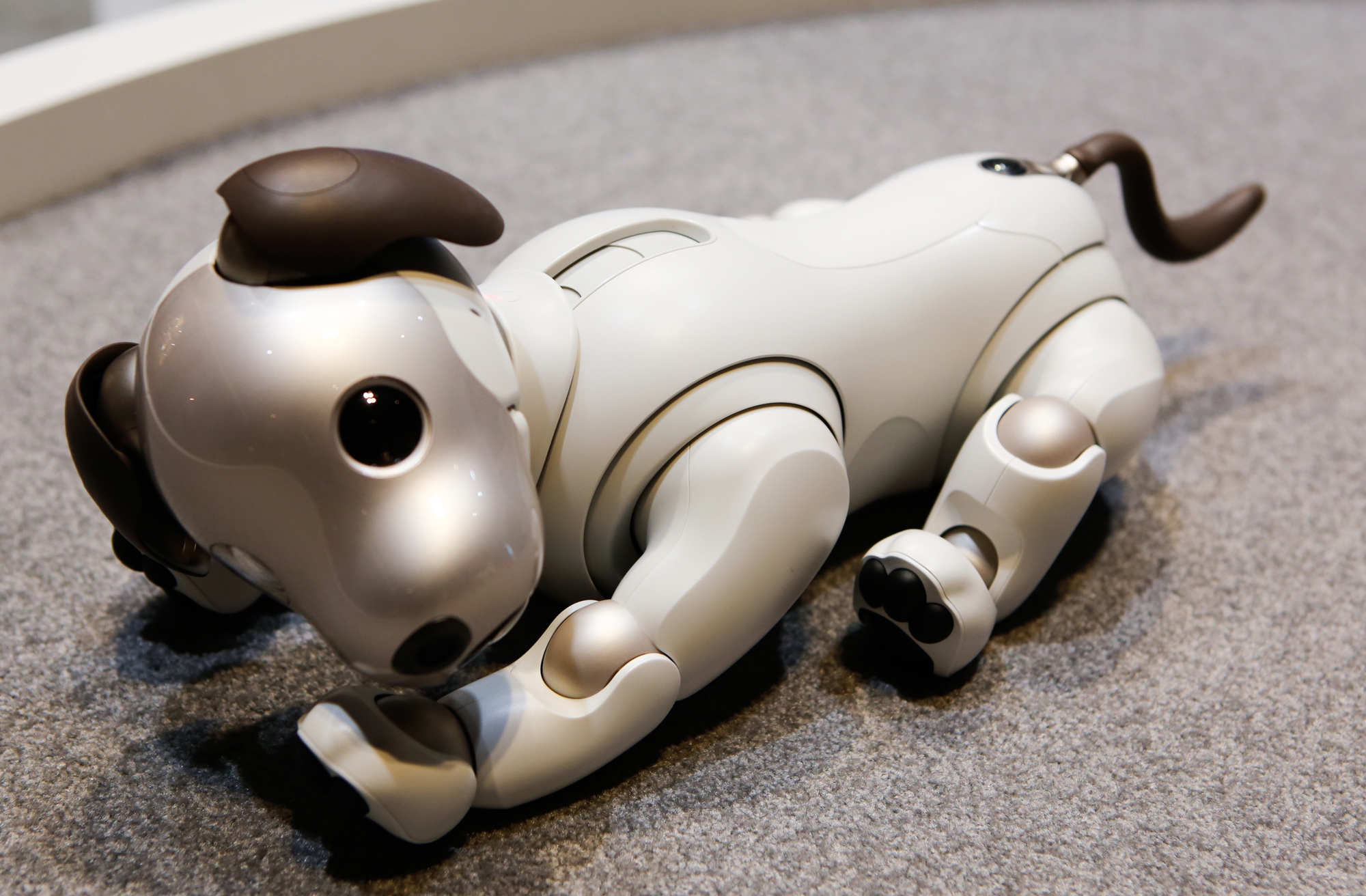 Aibo là lựa chọn phù hợp dành cho những người yêu chó nhưng không có điều kiện chăm sóc thú cưng