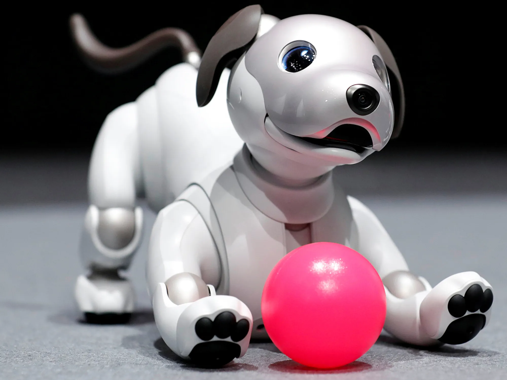 Review chú chó robot Aibo – Người bạn đồng hành thông minh đến từ Sony