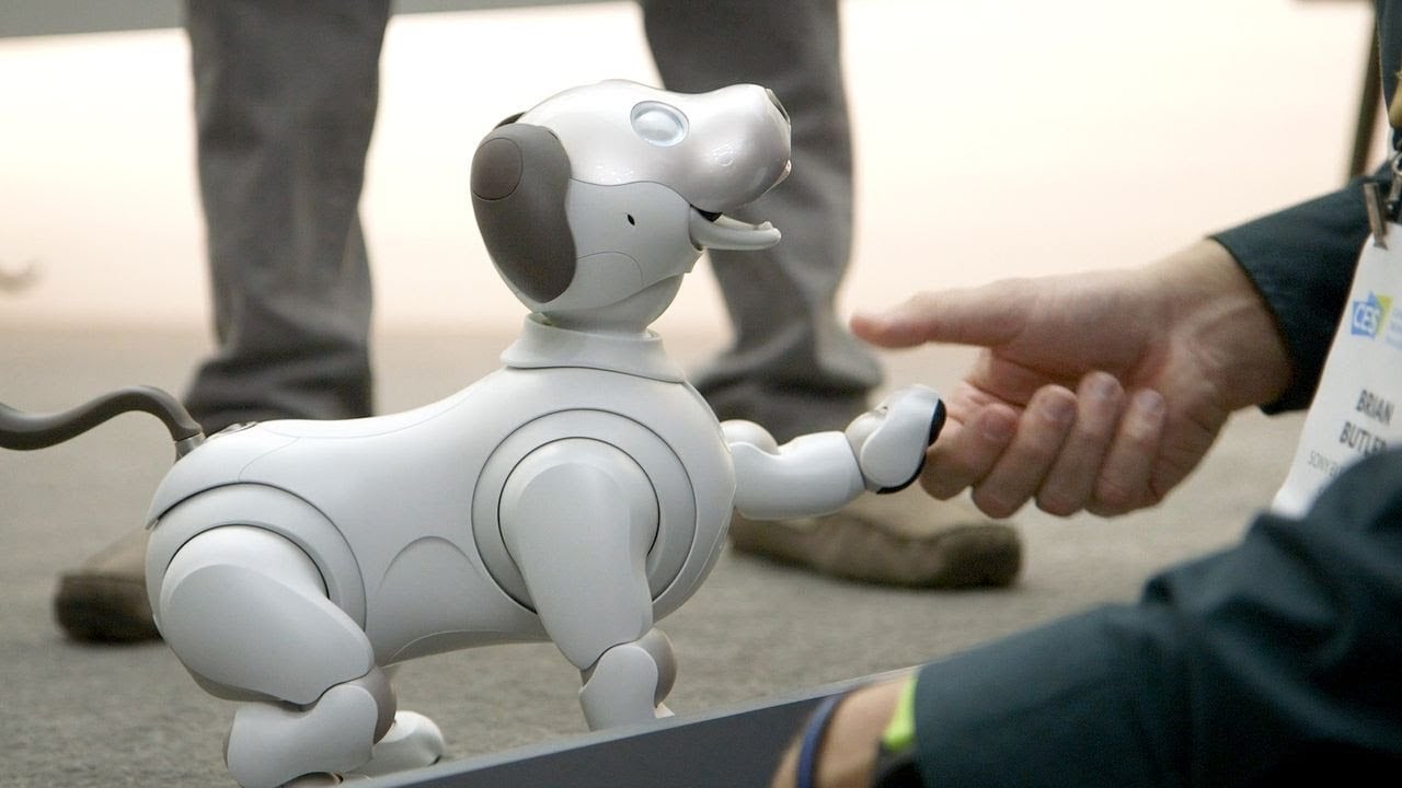 Aibo không chỉ là một món đồ chơi công nghệ mà còn có giá trị trong việc hỗ trợ giáo dục trẻ nhỏ.