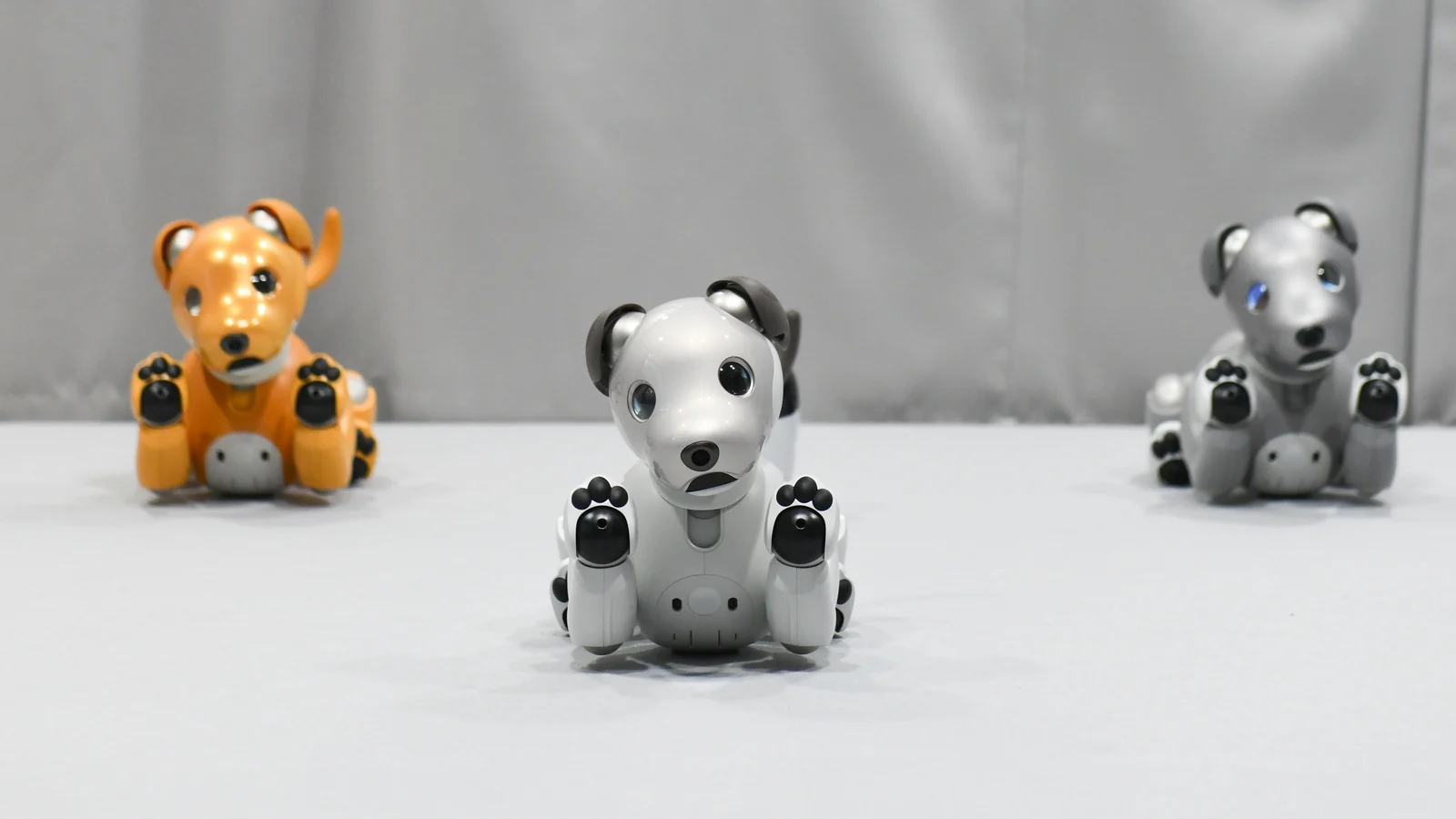 Chó robot Aibo là lựa chọn đáng cân nhắc nếu bạn yêu thích công nghệ và muốn trải nghiệm một thú cưng thông minh