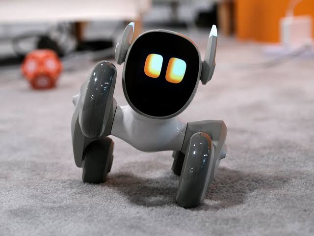 Loona là robot AI kết hợp giữa giáo dục và giải trí, được yêu thích nhờ khả năng di chuyển linh hoạt và biểu lộ cảm xúc sinh động