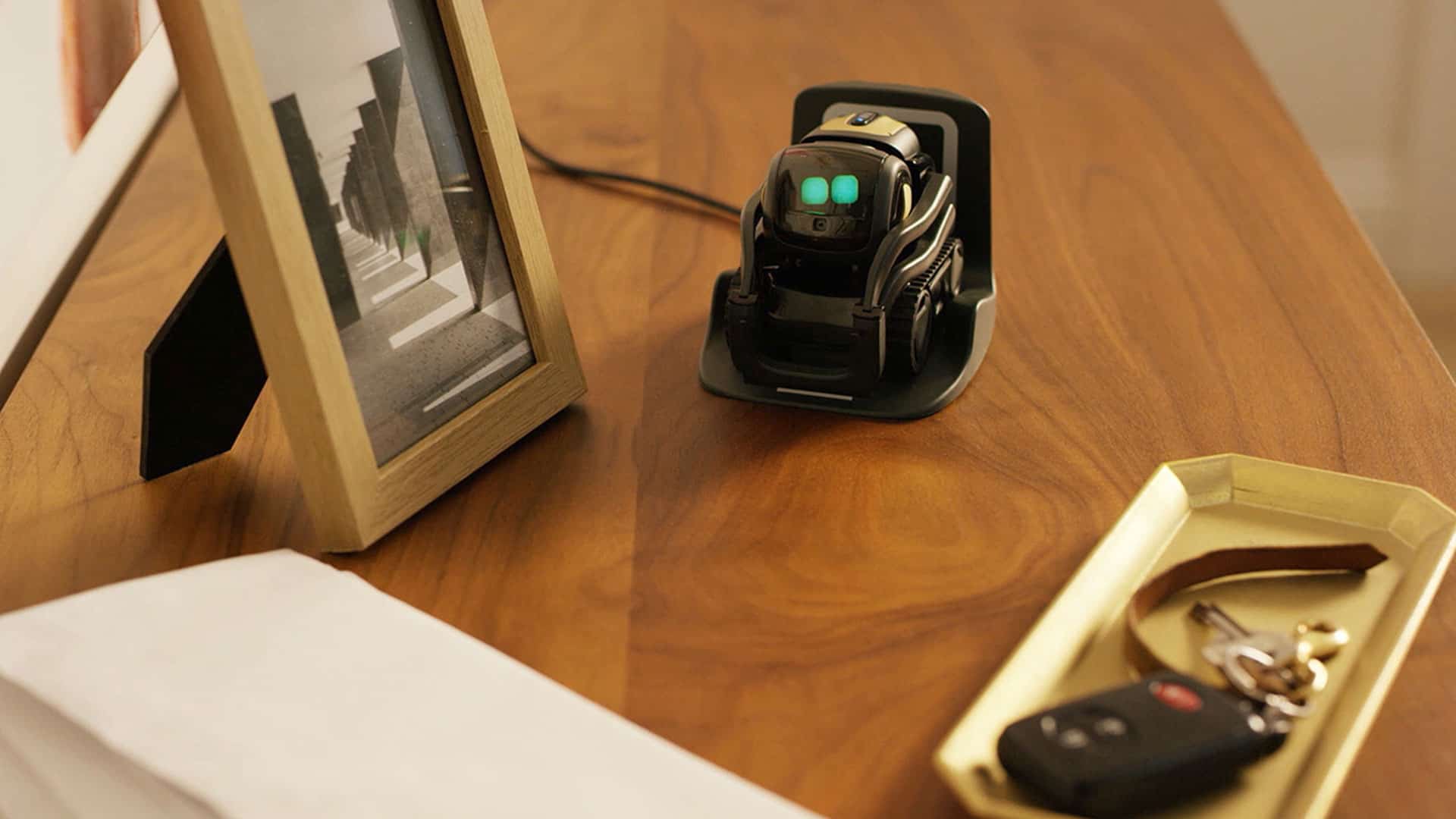 Bên cạnh vai trò robot đồng hành, Vector còn có thể thực hiện nhiều tác vụ đơn giản